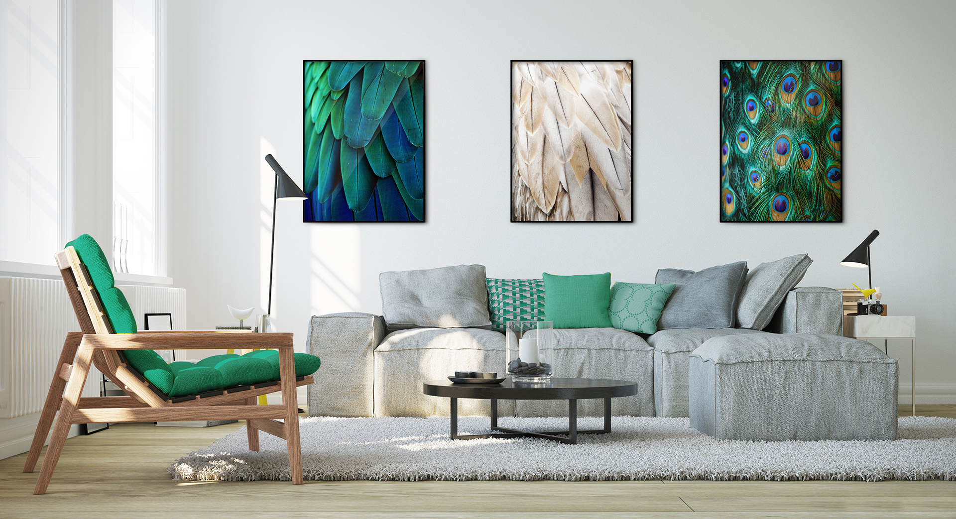 Gorgeous Feathers • Living room - Contemporary - Animals - Posters