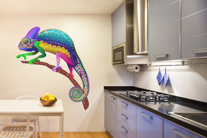 Chameleon • Kitchen - Contemporary