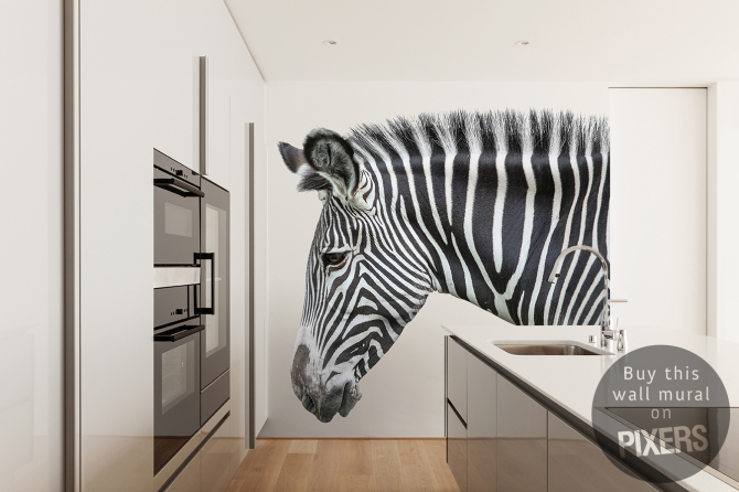 Zebra • Kitchen - Contemporary