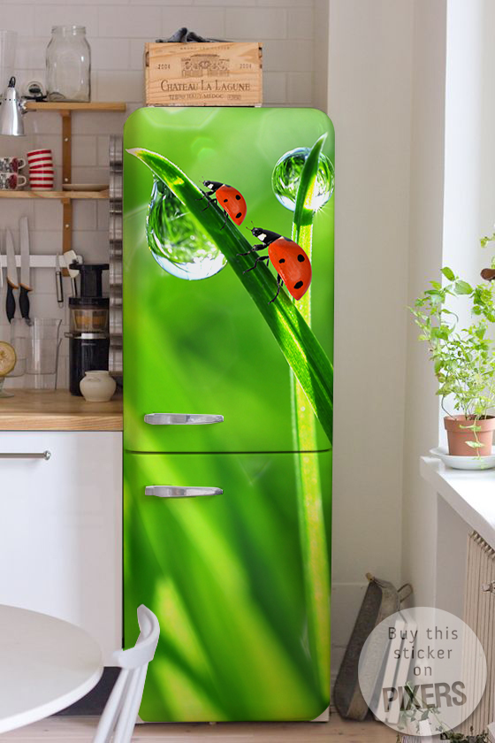 on the fridge • Kitchen - Scandinavian