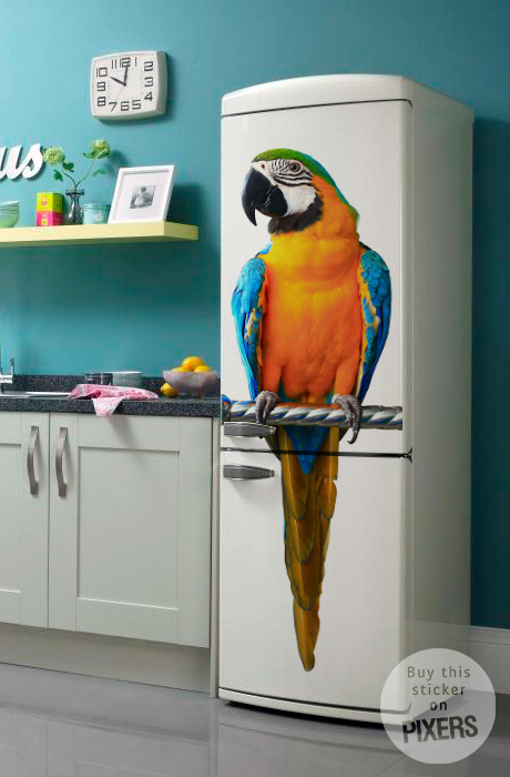Parrot • Kitchen - Classic