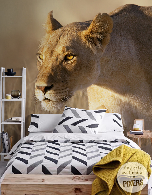 Lioness • Contemporary - Bedroom
