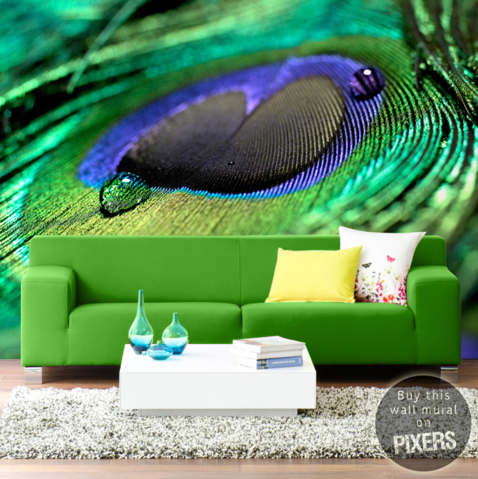 Peacock Feather • Living room - Contemporary