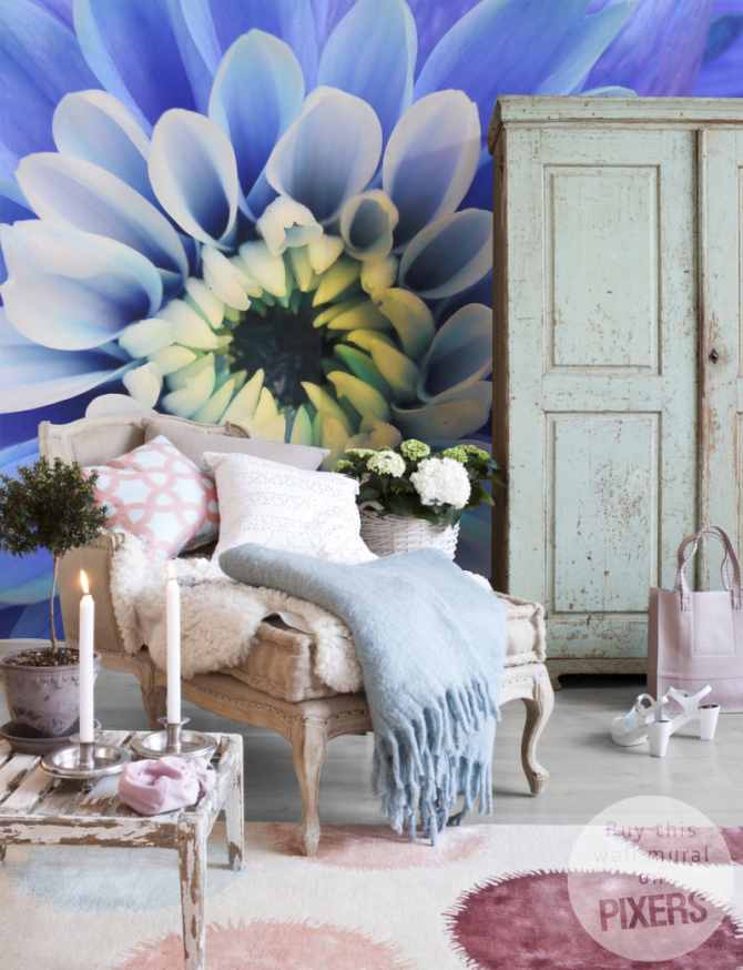 Blue Aster • Living room - Rustic