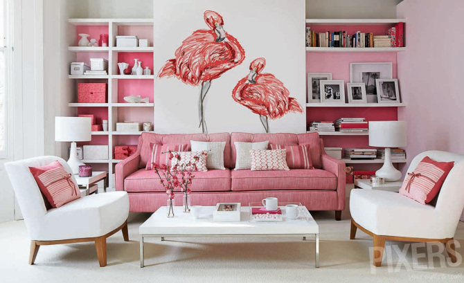 Flamingos • Living room - Contemporary