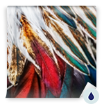 Washable Wall Murals