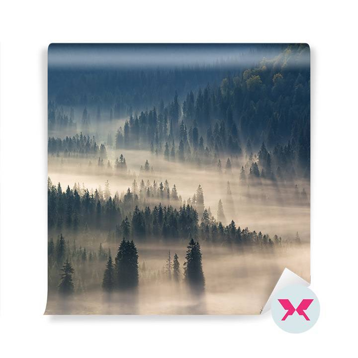 Fototapeta - Mlhavý les