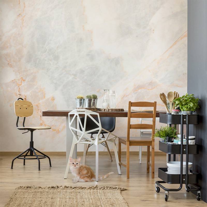 Subdued dining room • Kitchen - Contemporary - Textures and patterns - Wall Murals