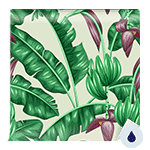 Carte da Parati a Motivi Lavabili