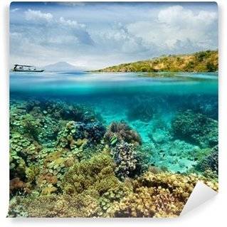 Papiers Peints Récif de corail