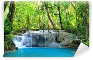 Papiers Peints Nature