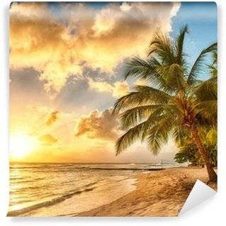 Papiers Peints Palmiers