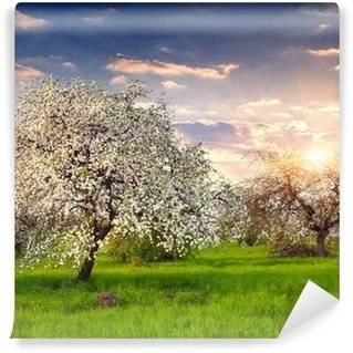 Fototapeter Æbletræer