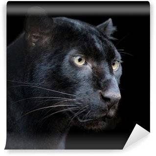 Fototapeten Panther