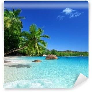 Papiers Peints Plage et tropiques