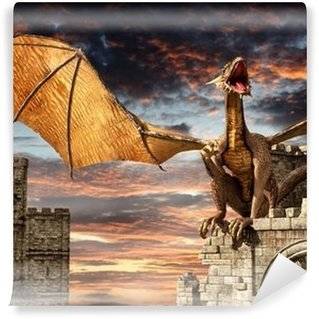 Papiers Peints Dragons