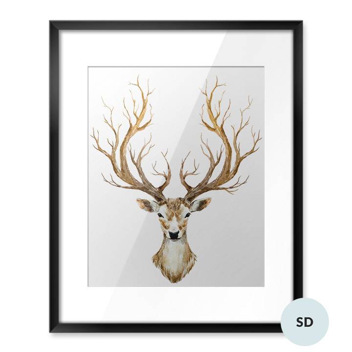 Poster - Cerf en aquarelle