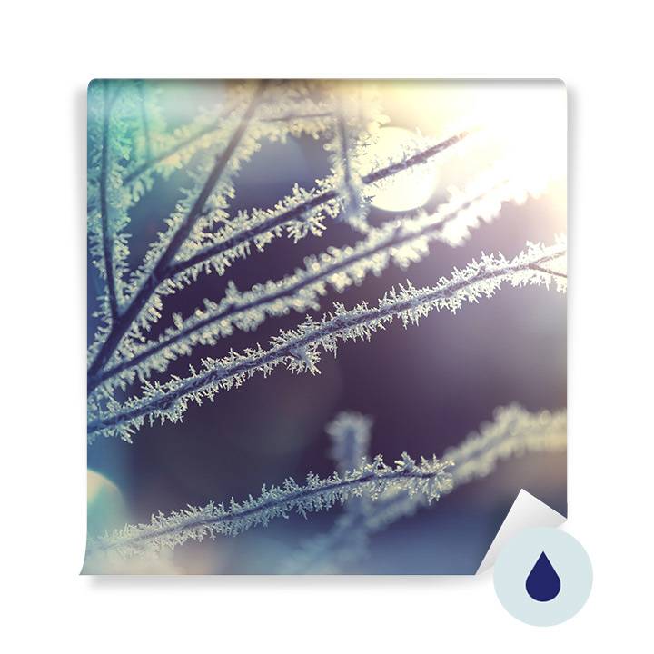 Wall mural - Un souffle d'hiver