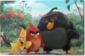 Obrazy na płótnie Angry Birds