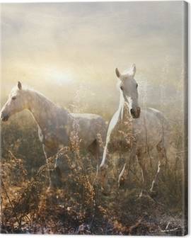 Horses Canvas Prints