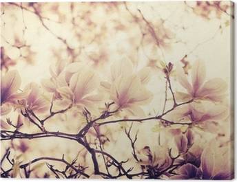 Magnolias Canvas Prints