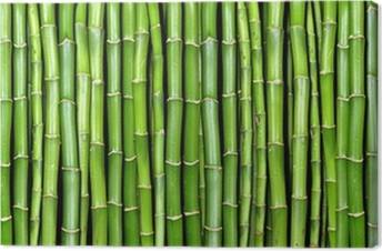 Canvastavlor Bambu
