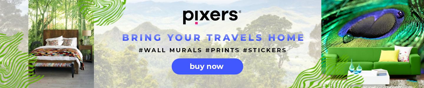 Wall Mural - Cacti and branches
