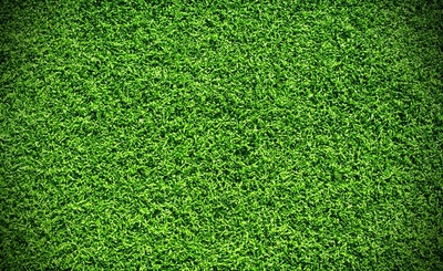 Pillow Cover Artificial grass background 