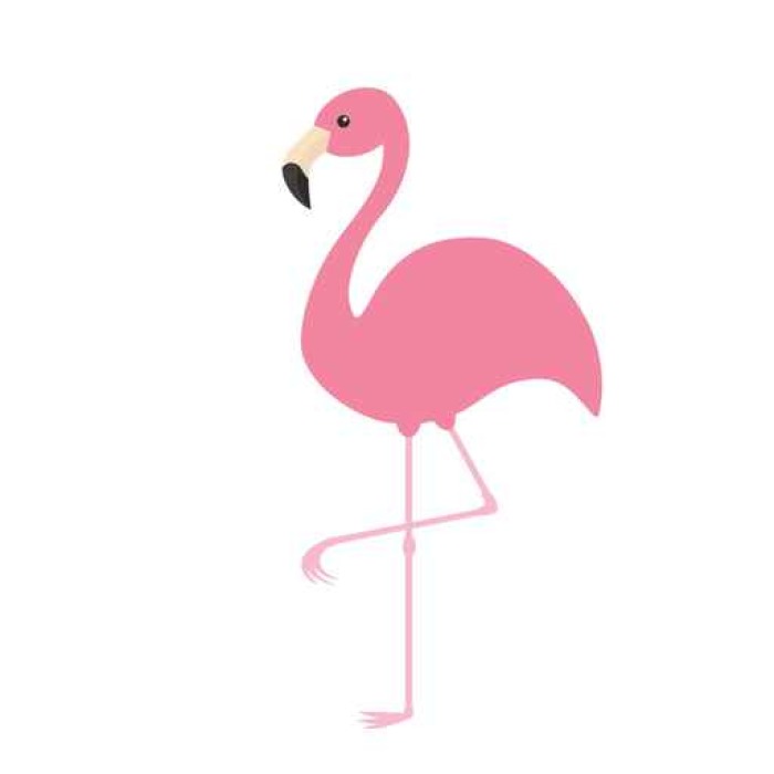 Pink flamingo. Exotic tropical bird. Zoo animal collection. Cute