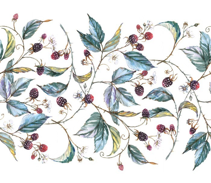 Hand-drawn watercolor seamless ornament with natural motives: blackberry branches, leaves and berries. Repeated decorative illustration, border with berries and leaves Wall Mural - Vinyl - 