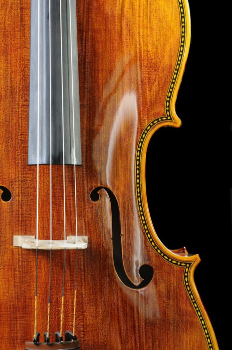 Adesivo Violoncello su uno sfondo nero u2022 Pixers u00ae Viviamo per il cambiamento Artesanato Com Feltro ~ Adesivo Violoncello su uno sfondo nero u2022 Pixers u00ae Viviamo per il cambiamento
