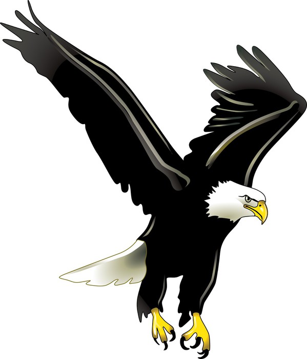 clipart aigle volant