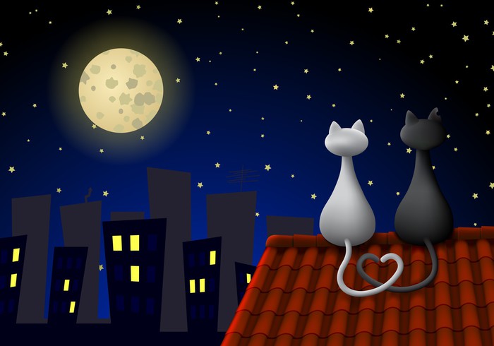 Two Cats Sitting On A Roof At Night Looking At The Moon