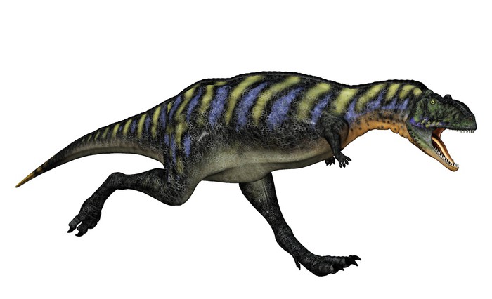 Fototapet köttätande dinosaurie • pixers® vi lever för förändring