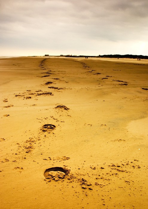 Résultat de recherche d'images pour "marques sur le sable"