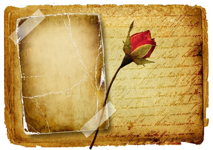 Wall Mural vintage love letter - blank page and rose 