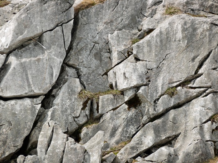 Fototapete Textur Felswand • Pixers® - Wir leben, um zu verändern