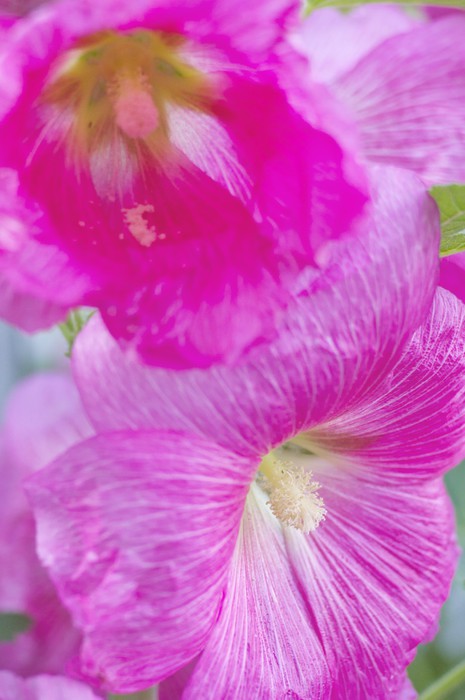 rosa sidorna göteborg dejtsidor rosa sidorna göteborg dejtsidor