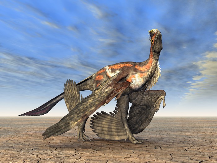 Microraptor plush discount