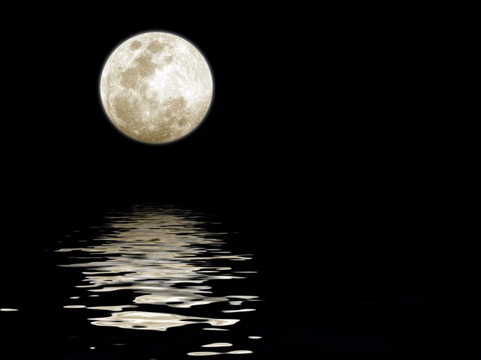 Full Moon Over Water Wall Mural • Pixers® • We Live To Change