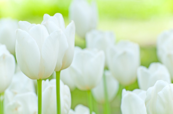 700_FO32320485_0763a69f58dab307d2e66a0b23d5a85f