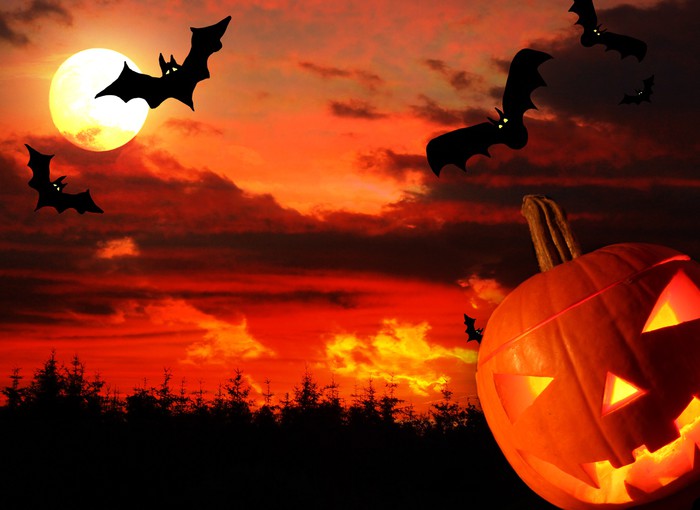 halloween celebration background with flying