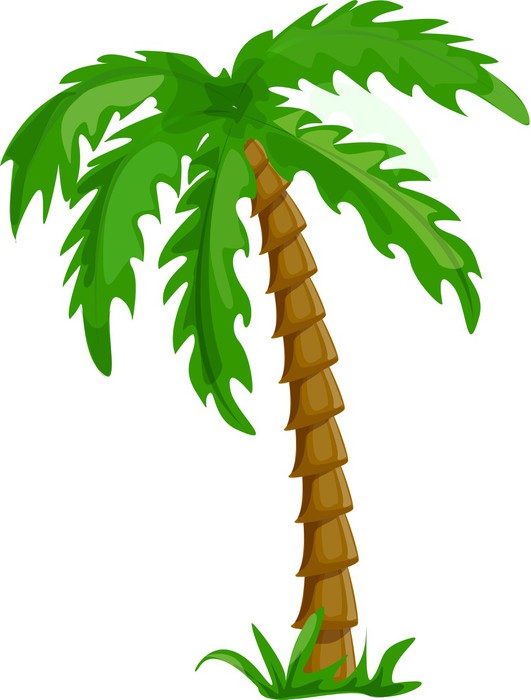 Palmeras Vector Png ~ Free Palmera 1189525 Png With Transparent ...