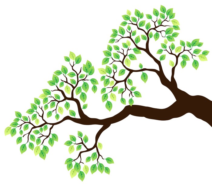 Poster Vecteur branche d'arbre avec des feuilles vertes 