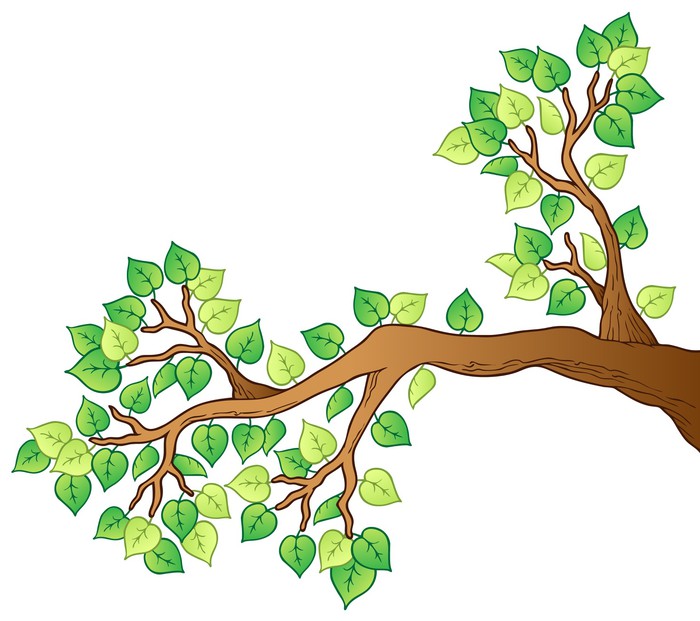 clipart tree with branches and leaves