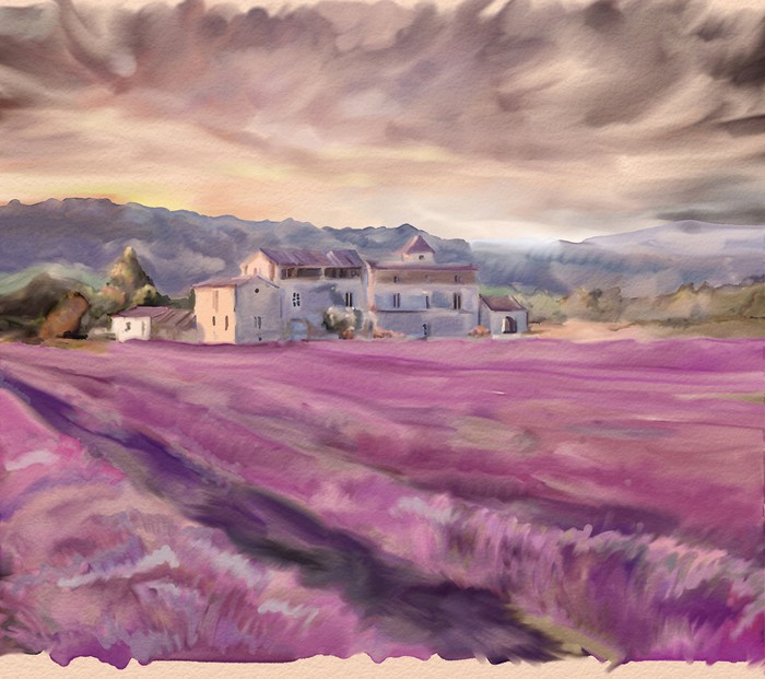 Poster Lavender field in Provence. Watercolor painting - PIXERS.UK