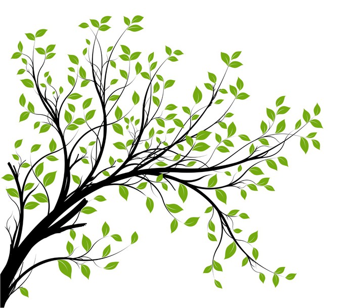 Vinilo Pixerstick Conjunto de vectores - rama decorativo verde y hojas
