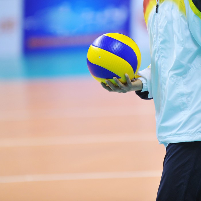 Volleyball in on sale
