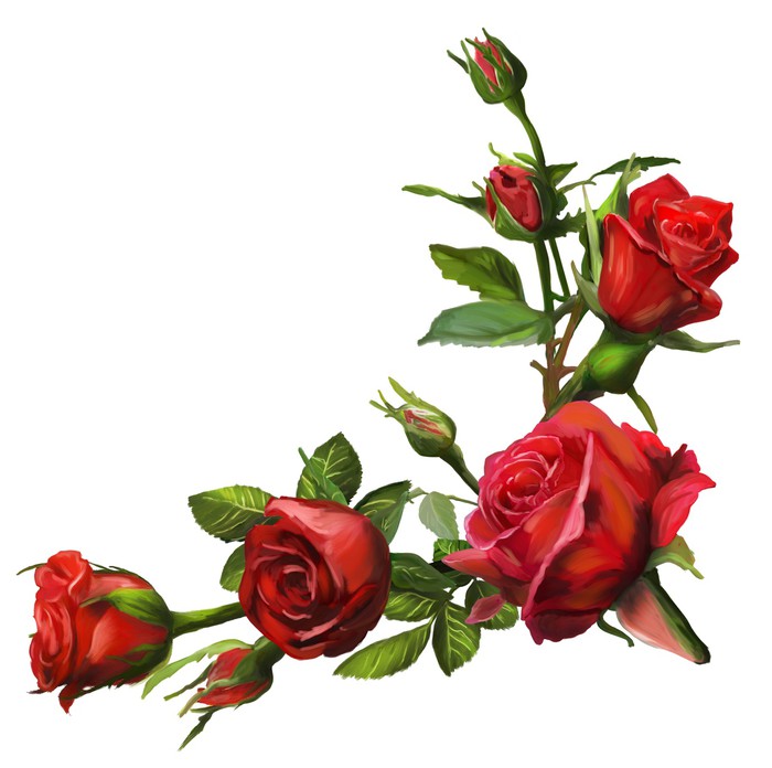 Vinilo Pixerstick Decoración de flores rosas rojas • Pixers® - Vivimos