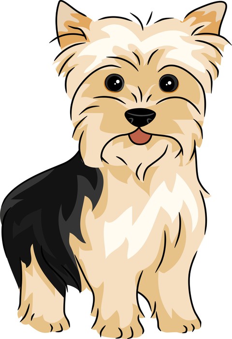 Yorkie painting, Dog art, Yorkie clipart